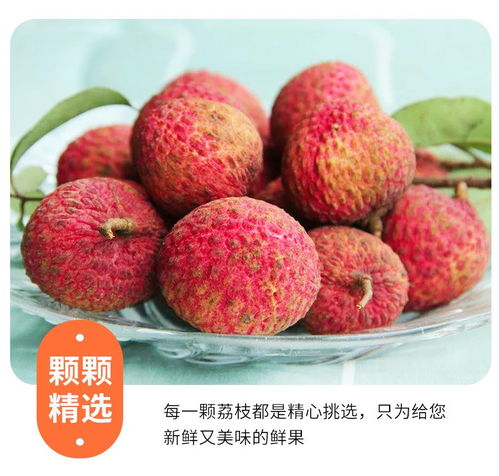 高州白糖罌荔枝 當季鮮果，滋味直達——5斤裝整箱批發品鑒